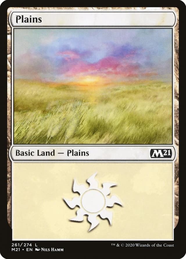 Plains image
