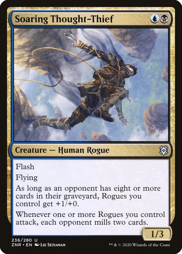 Soaring Thought-Thief image