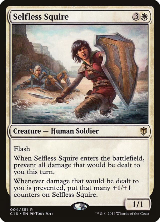 Selfless Squire image