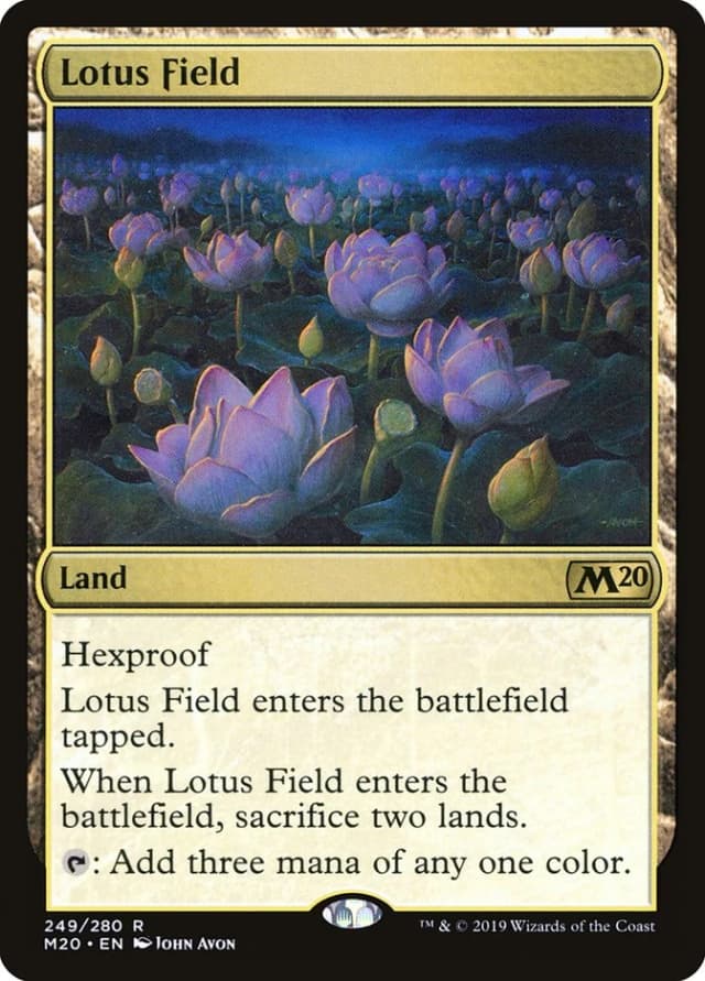 Lotus Field image