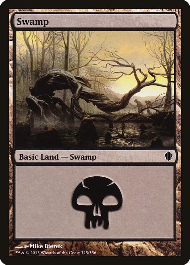 Swamp image