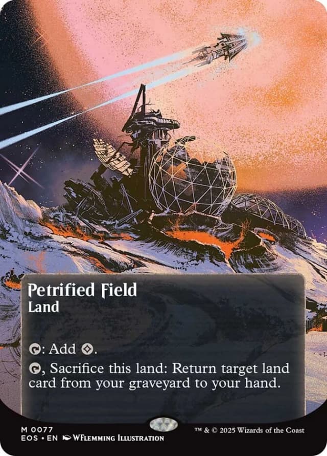 Petrified Field image