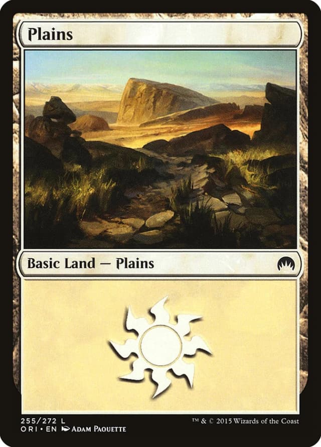Plains image