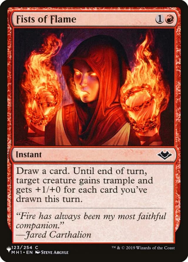Fists of Flame image