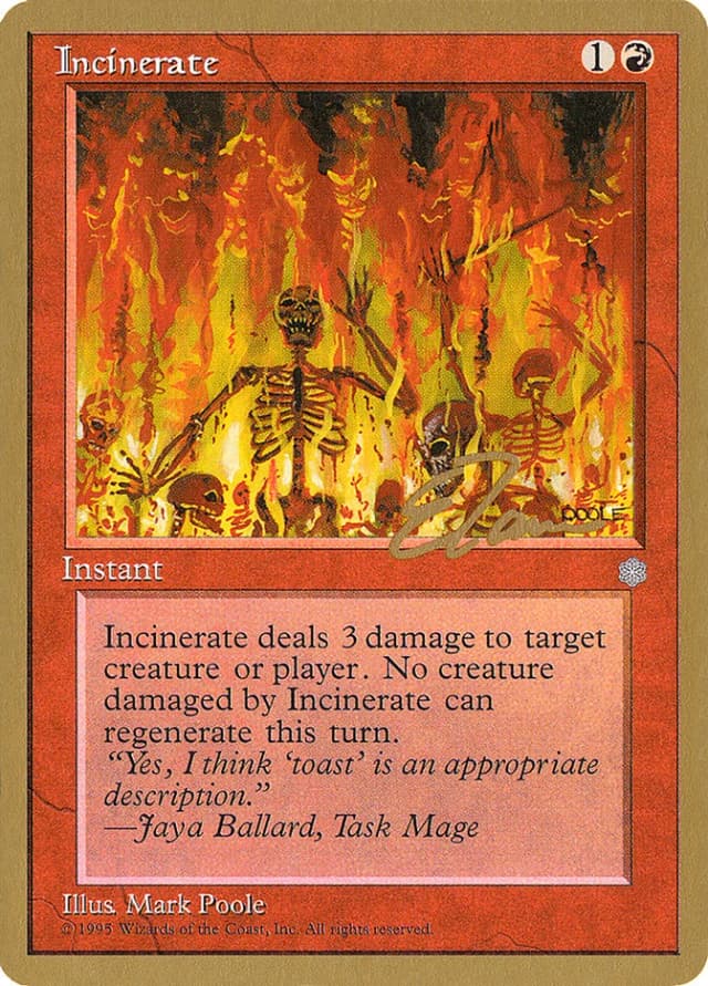 Incinerate image