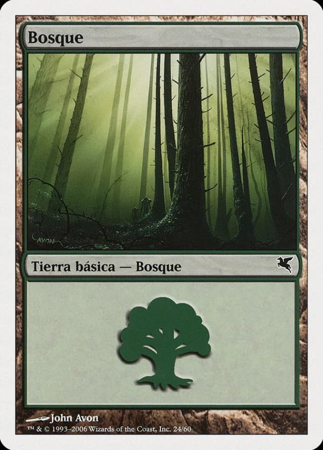 Forest image