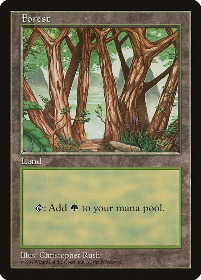 Forest image