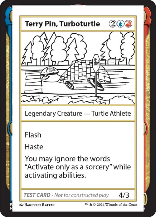 Terry Pin, Turboturtle image