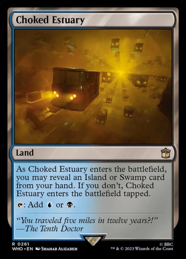 Choked Estuary image