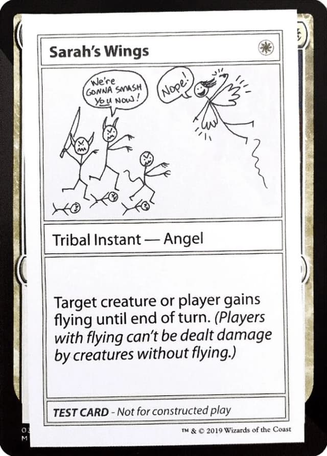Sarah's Wings image