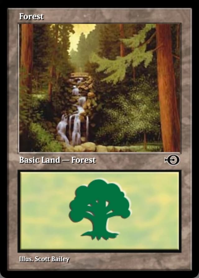 Forest image