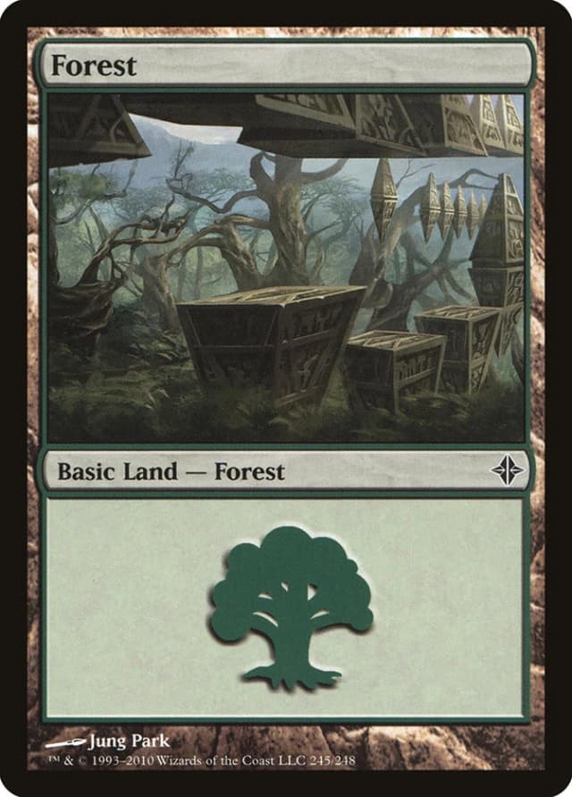 Forest image