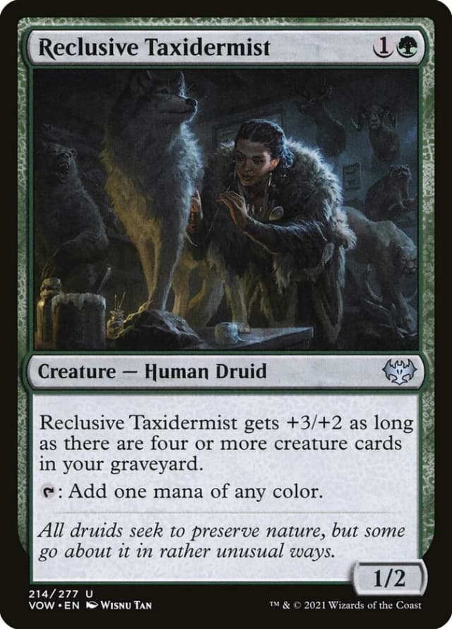 Reclusive Taxidermist image