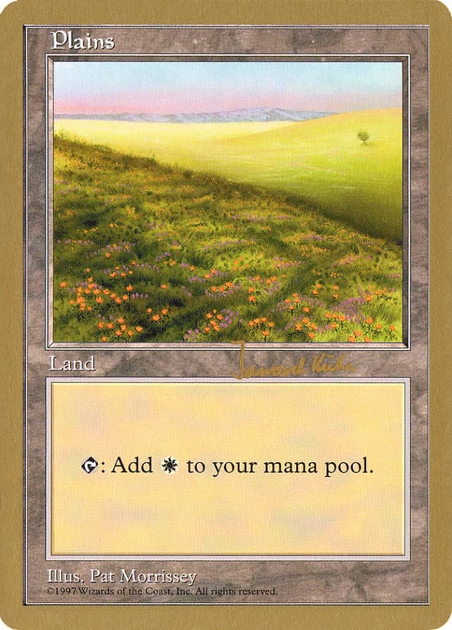 Plains image