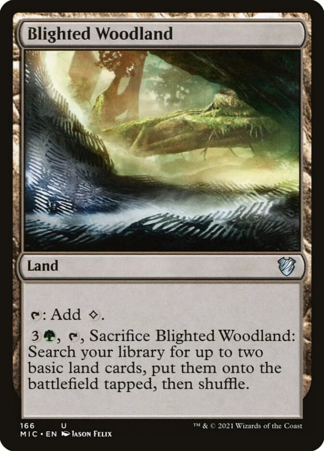Blighted Woodland image