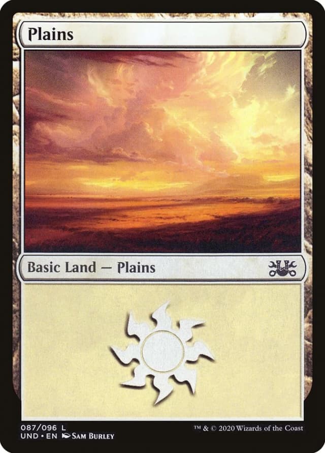 Plains image