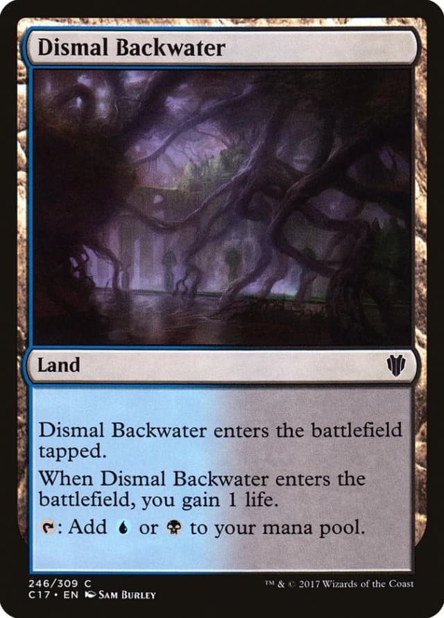 Dismal Backwater image