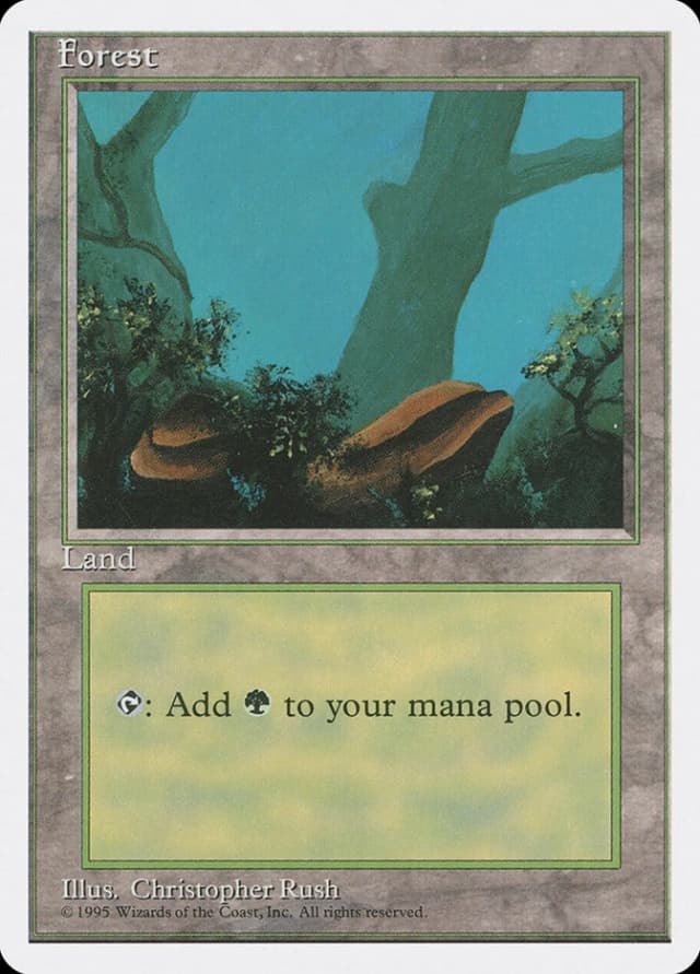 Forest image