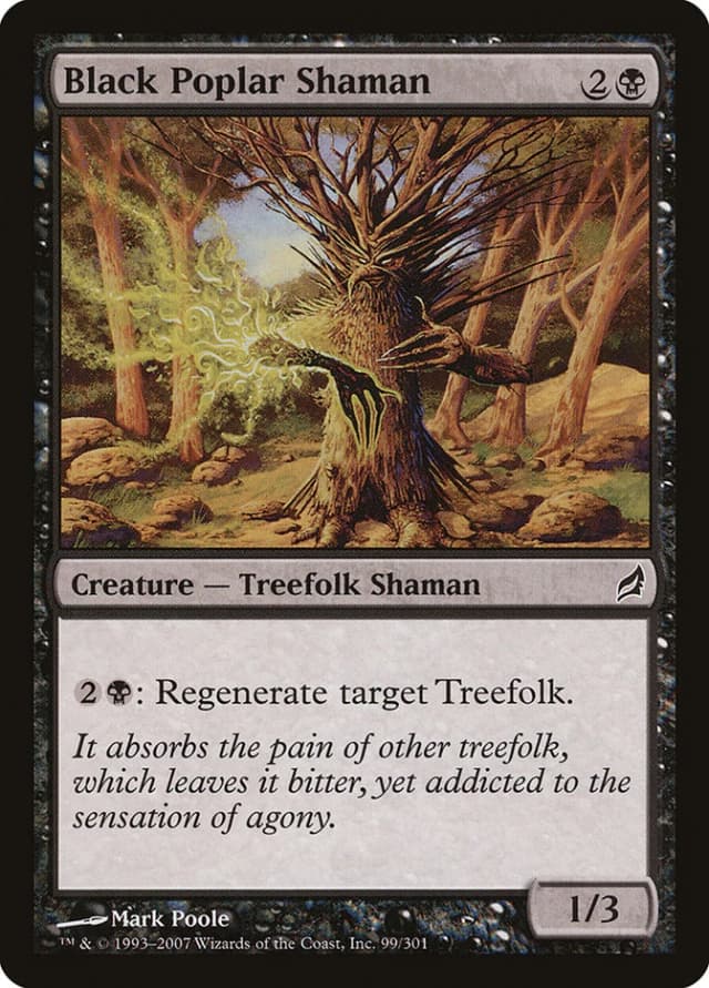 Black Poplar Shaman image