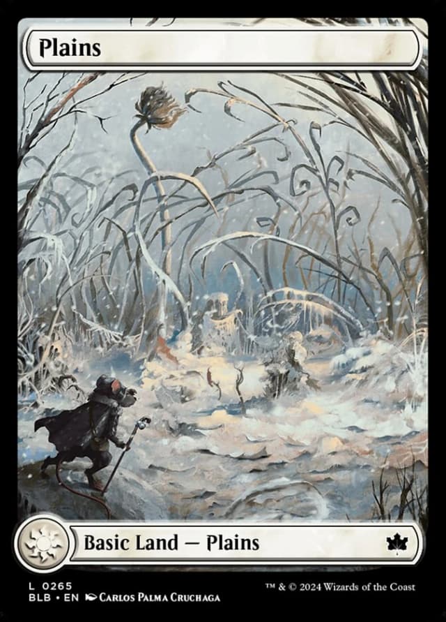Plains image