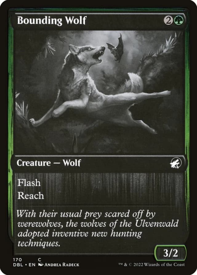 Bounding Wolf image
