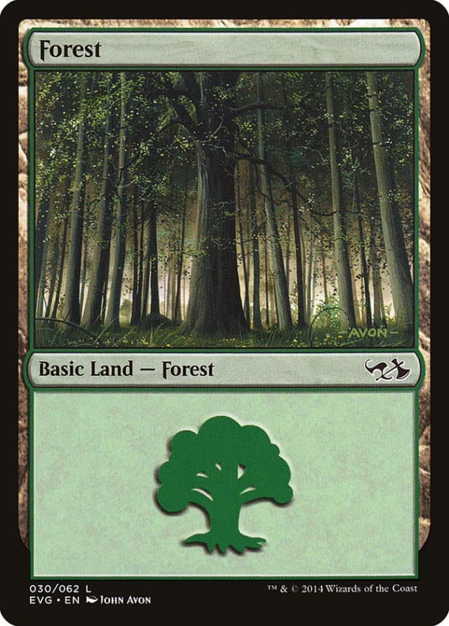 Forest image