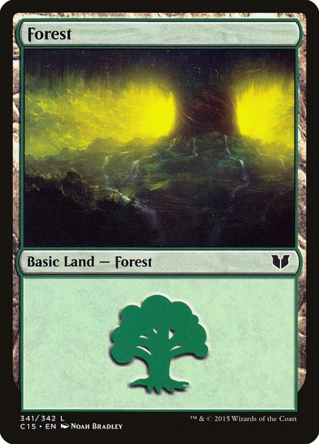 Forest image