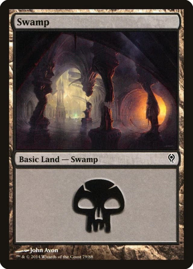 Swamp image