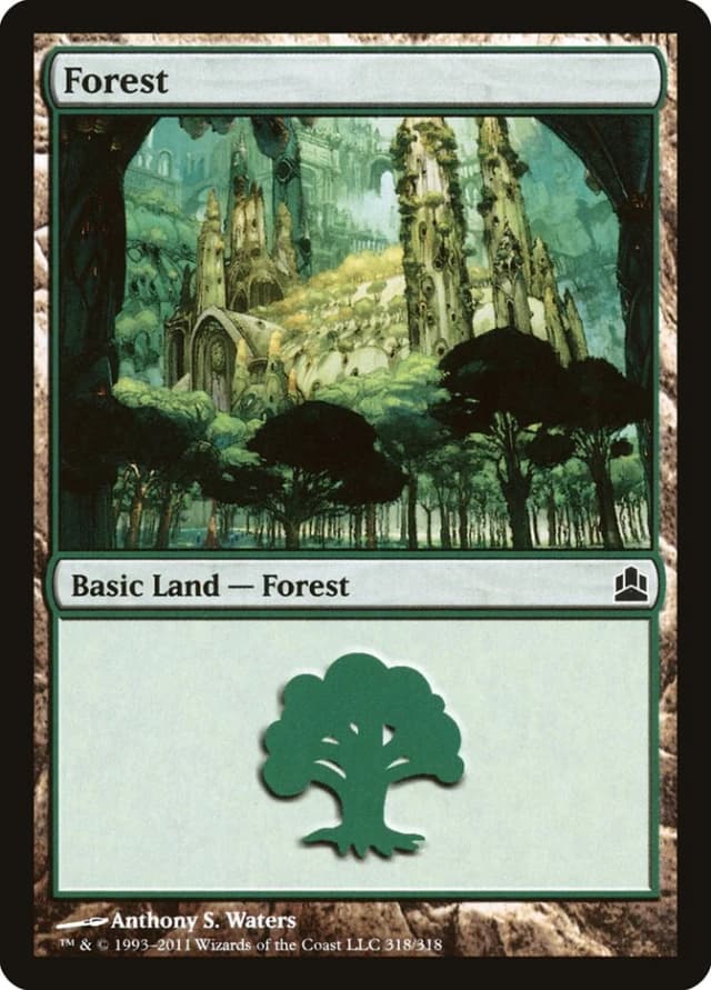 Forest image
