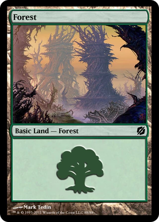 Forest image