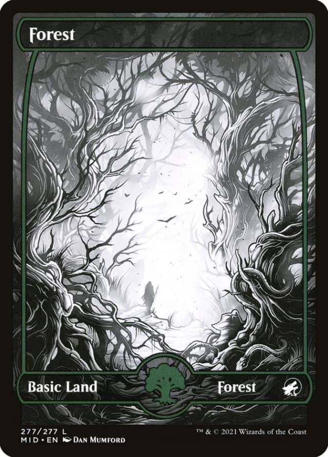 Forest image