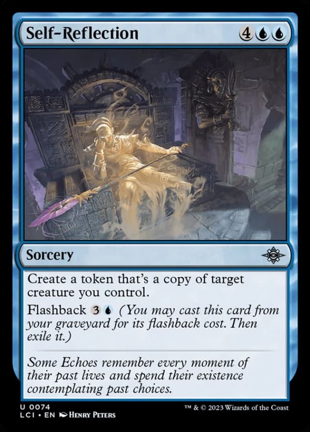 Self-Reflection image