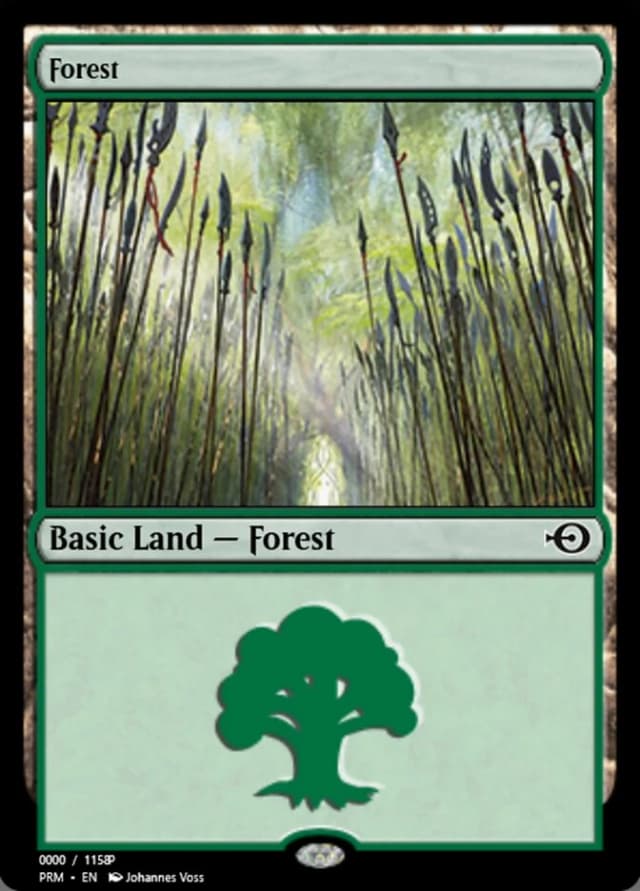 Forest image