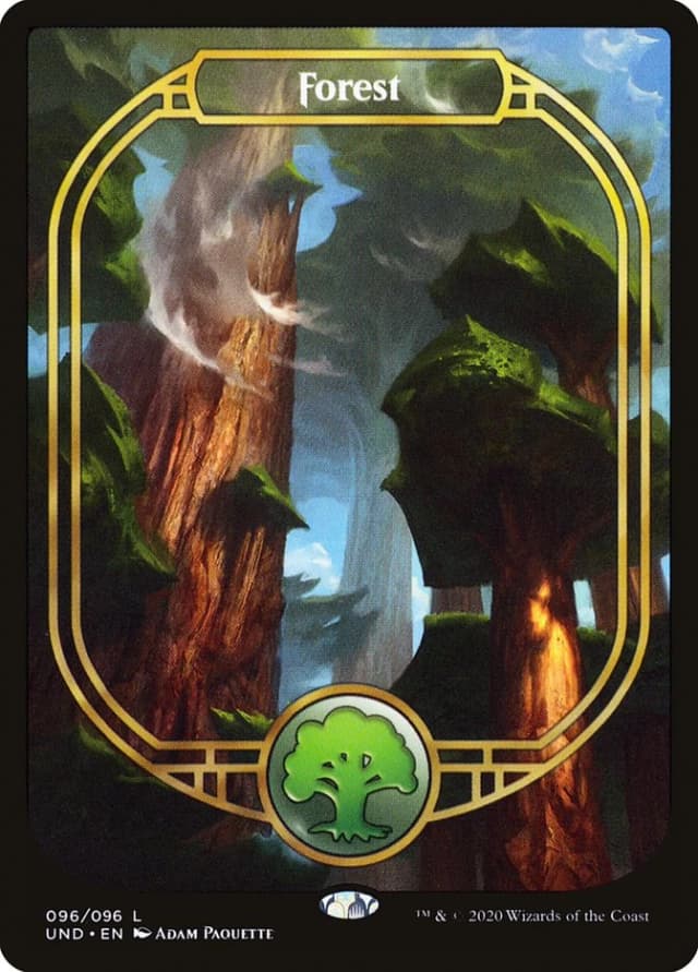 Forest image