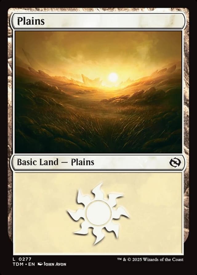 Plains image