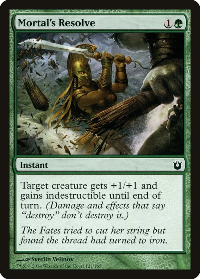 Mortal's Resolve image