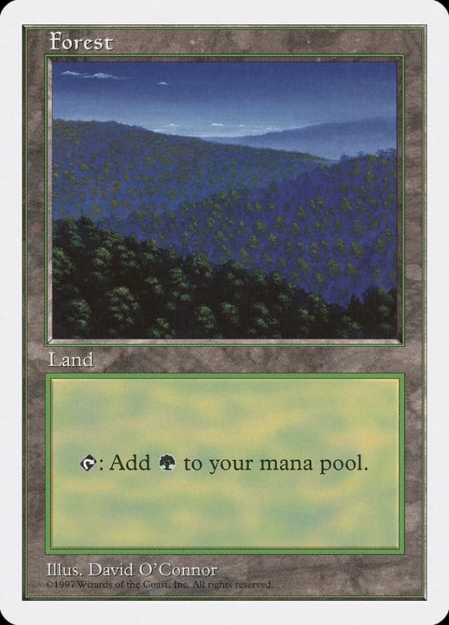 Forest image