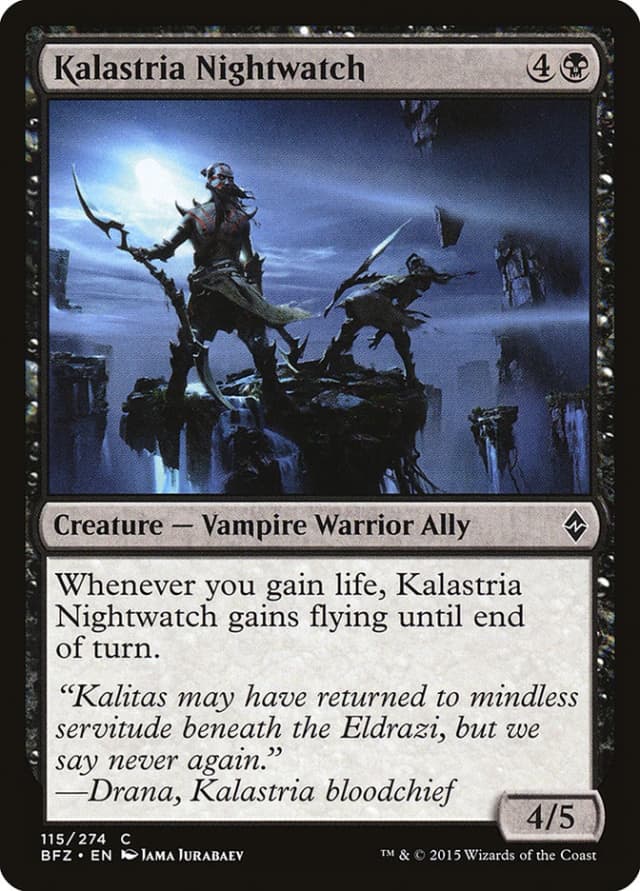 Kalastria Nightwatch image