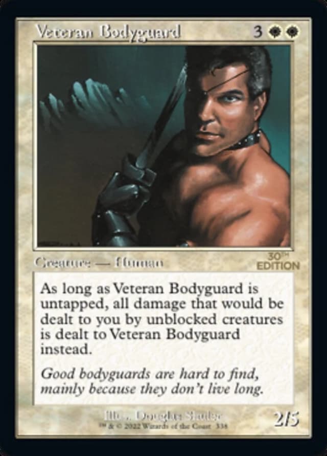 Veteran Bodyguard image