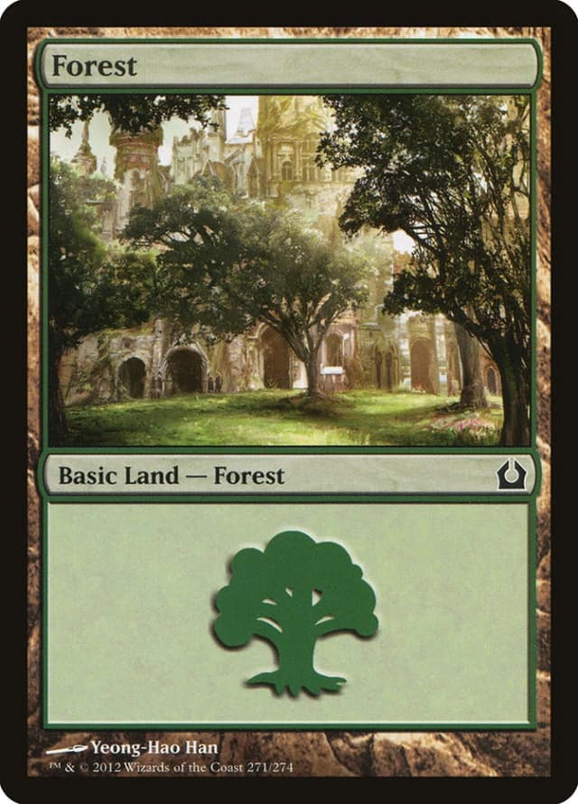Forest image