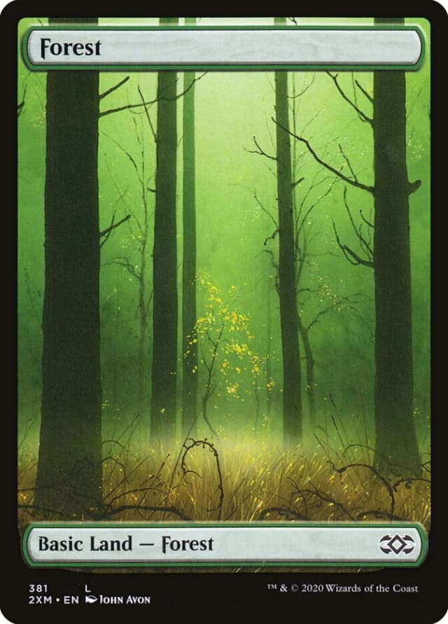 Forest image