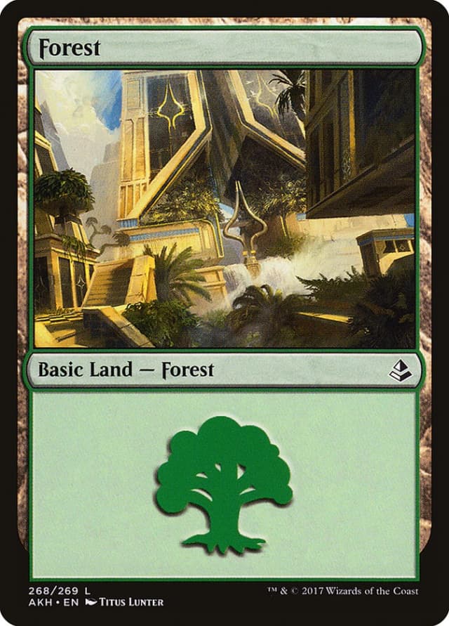 Forest image
