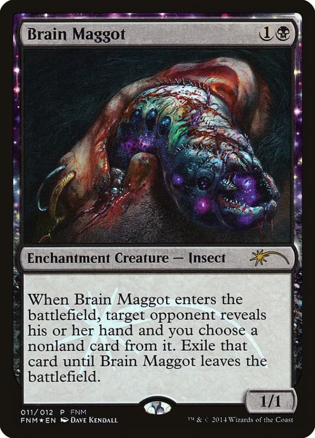 Brain Maggot image