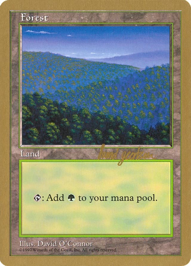 Forest image