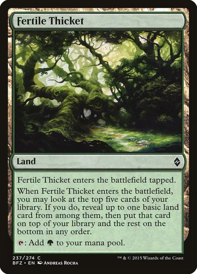 Fertile Thicket image