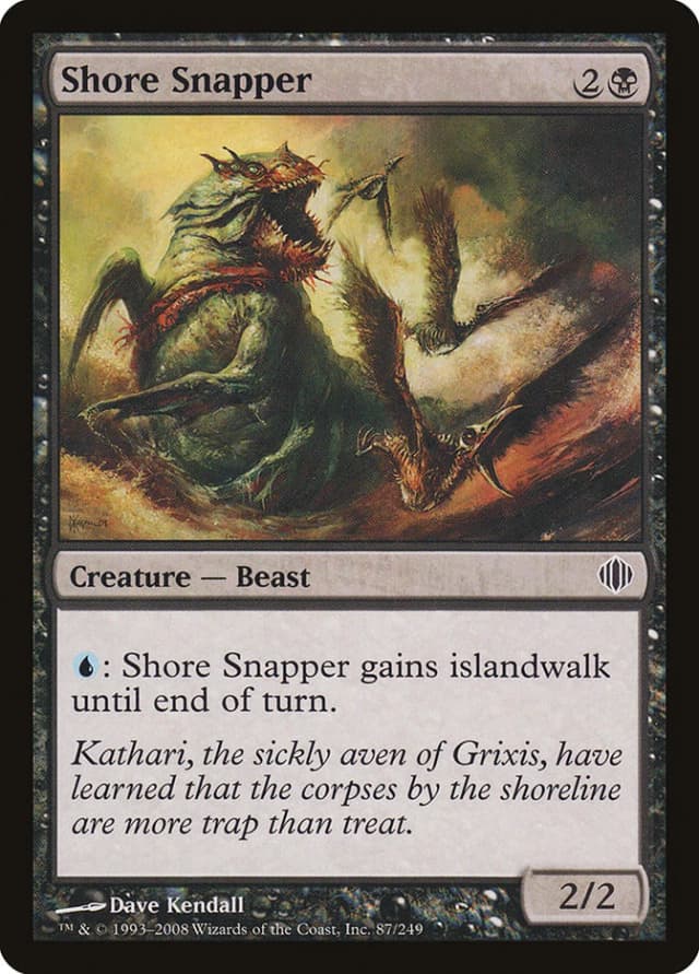 Shore Snapper image