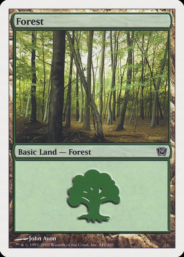Forest image
