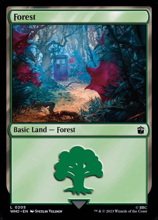 Forest image