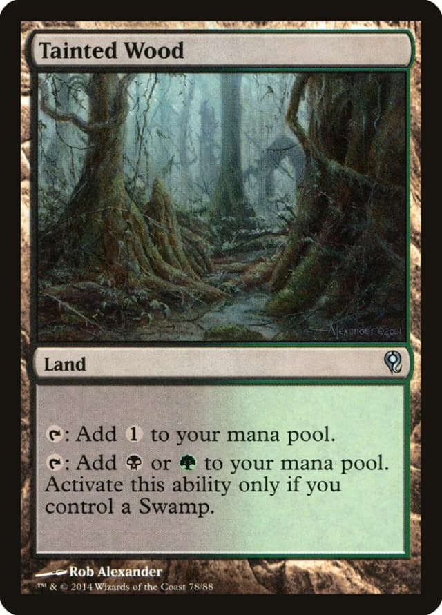 Tainted Wood image