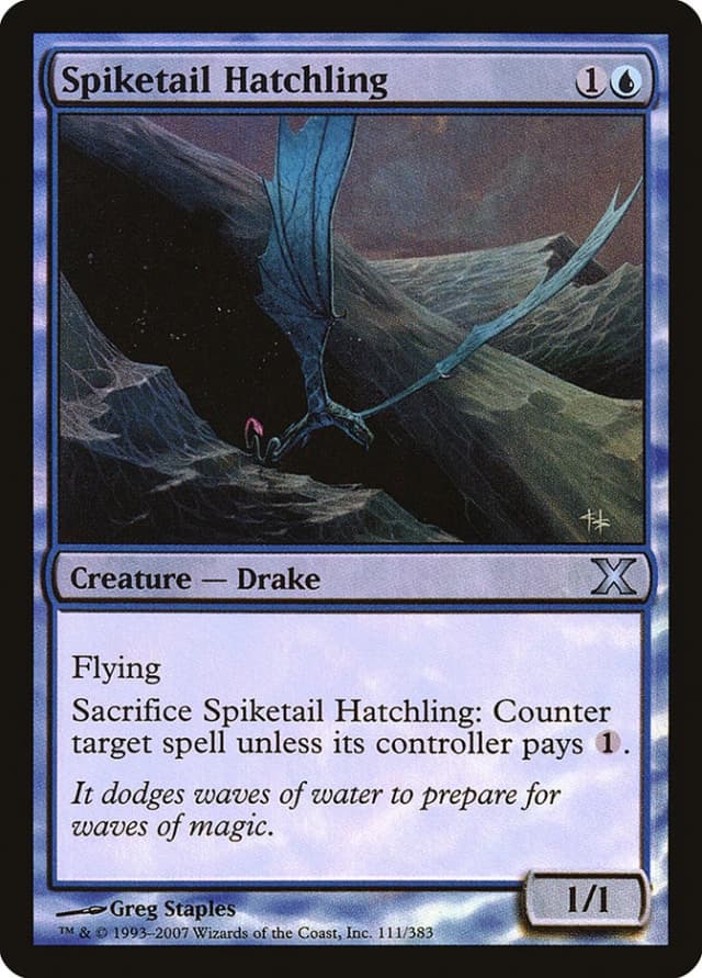 Spiketail Hatchling image